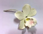 Orchidea kicsi - Fehér