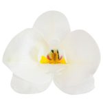 Ostyavirág Orchidea - fehér (10db)