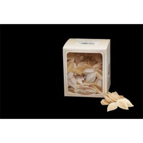 Ostya levél arany(40db)