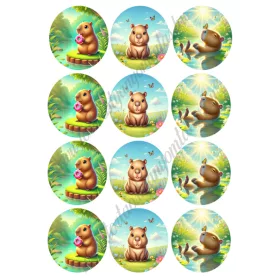 Ostyakorong - Capybara (12db)