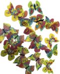 Ostya pillangó (24db) - színes