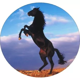 Torta ostya - Lovak 31.