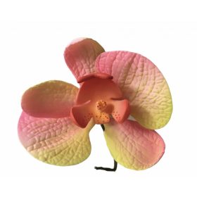 Orchidea - Rózsaszín - sárga