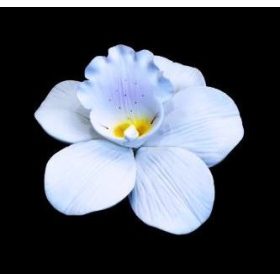 Orchidea - Fehér (nagy)