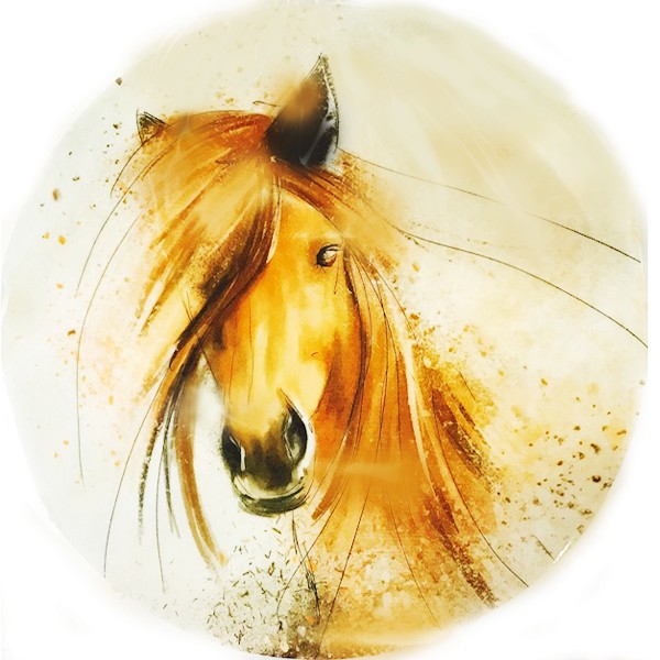 Image of Torta ostya - Ló 116.