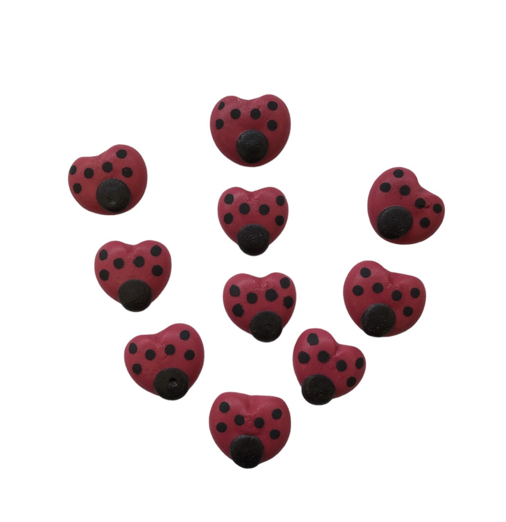 Image of Cukordísz - Katicabogár (10db)