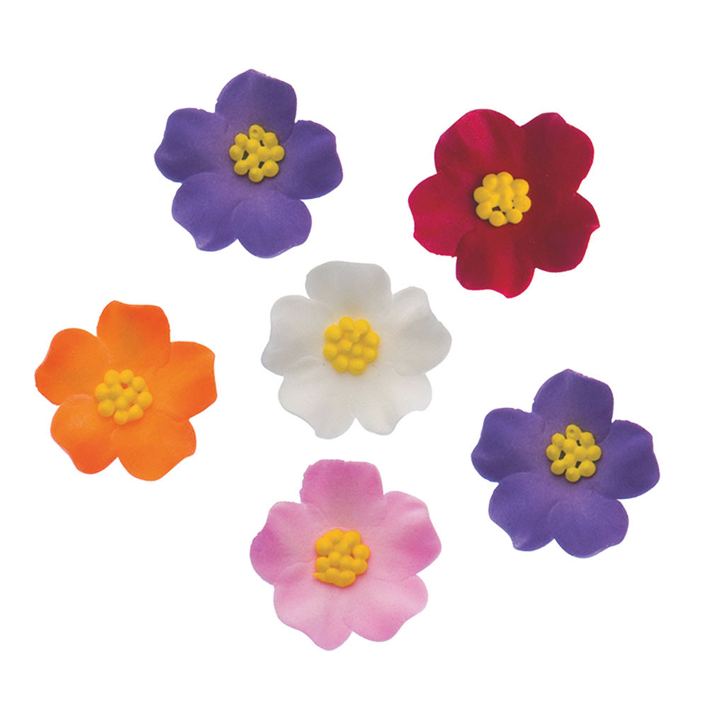 Image of Petúnia 5db