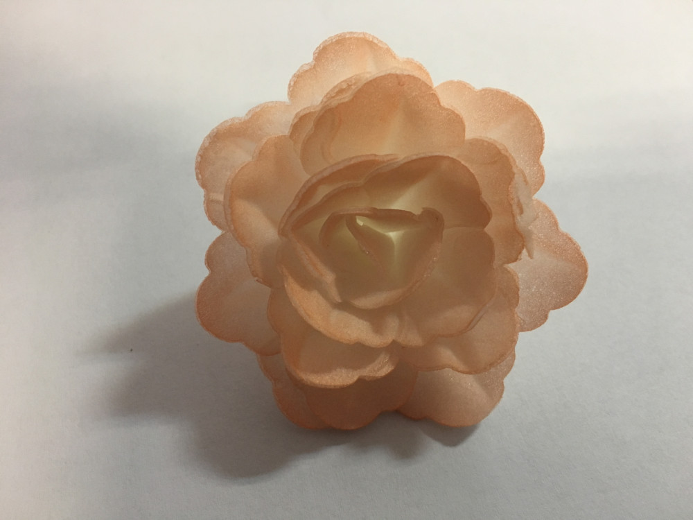 Image of Ostya virág közepes barack (6db)