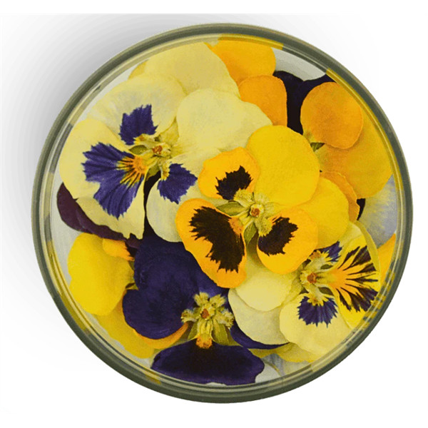 Image of Ehető virág árvácska 15db