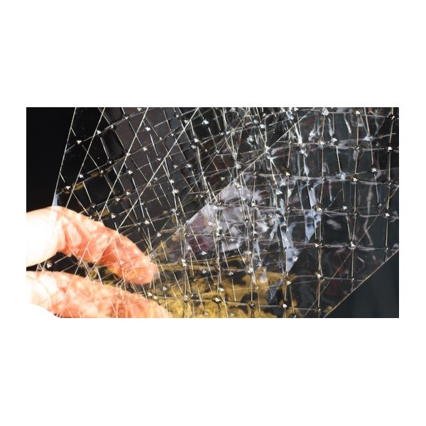 Image of Zselatin lap (sertés)23*7,5cm 50g