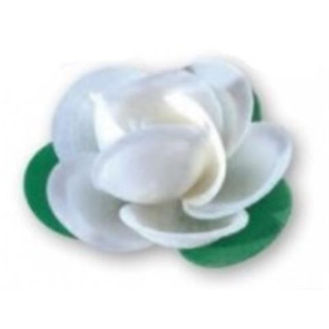 Image of Ostyarózsa levéllel 6db (Fehér)